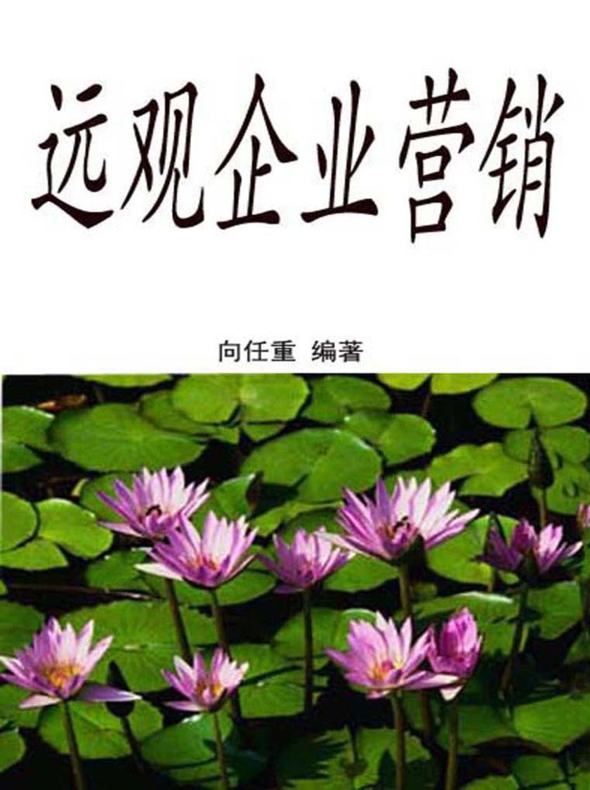 远观企业营销