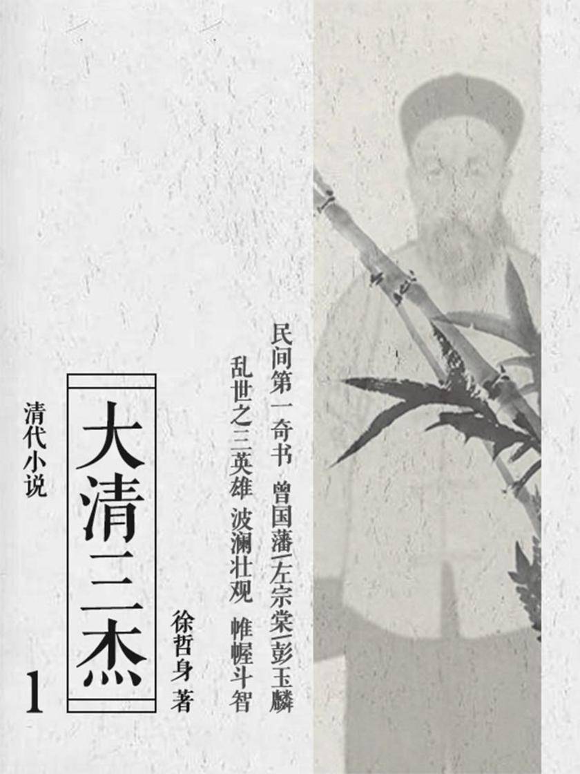 清代小说:大清三杰1