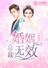 总裁，婚姻无效