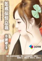 惩戒掠情总裁--第3部