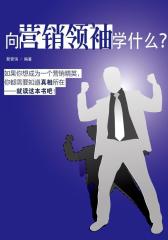 向营销领袖学什么？