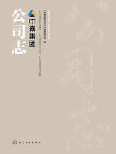 中泰集团公司志