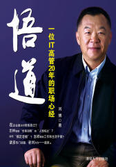 悟道：一位IT高管20年的职场心经（试读本）