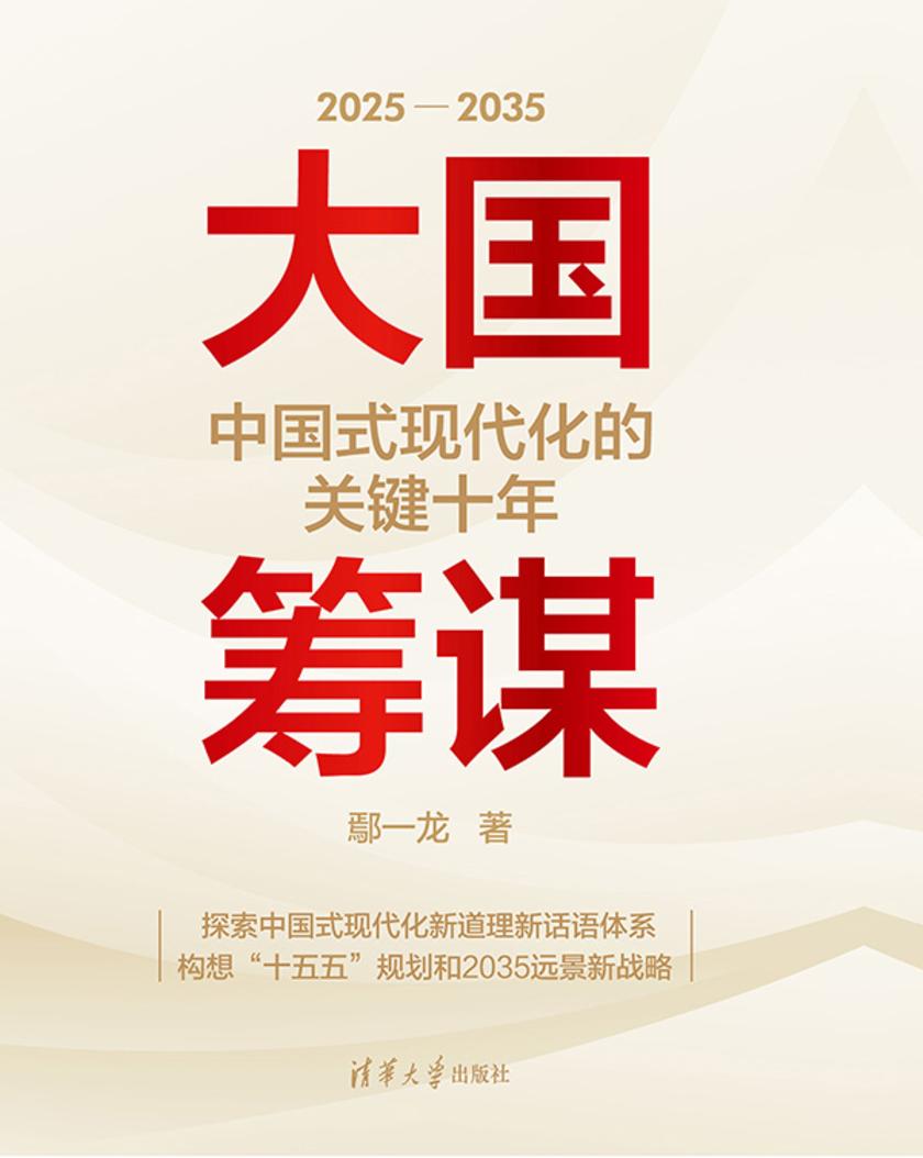 大国筹谋:中国式现代化的关键十年