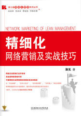 精细化网络营销及实战技巧