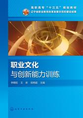 职业文化与创新能力训练
