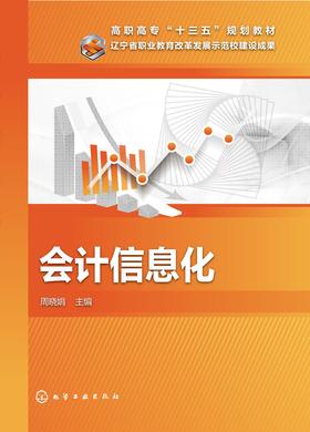 会计信息化