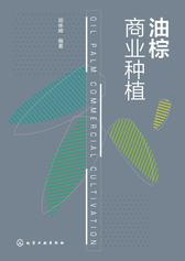 油棕商业种植
