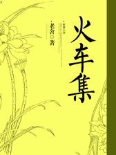 火车集