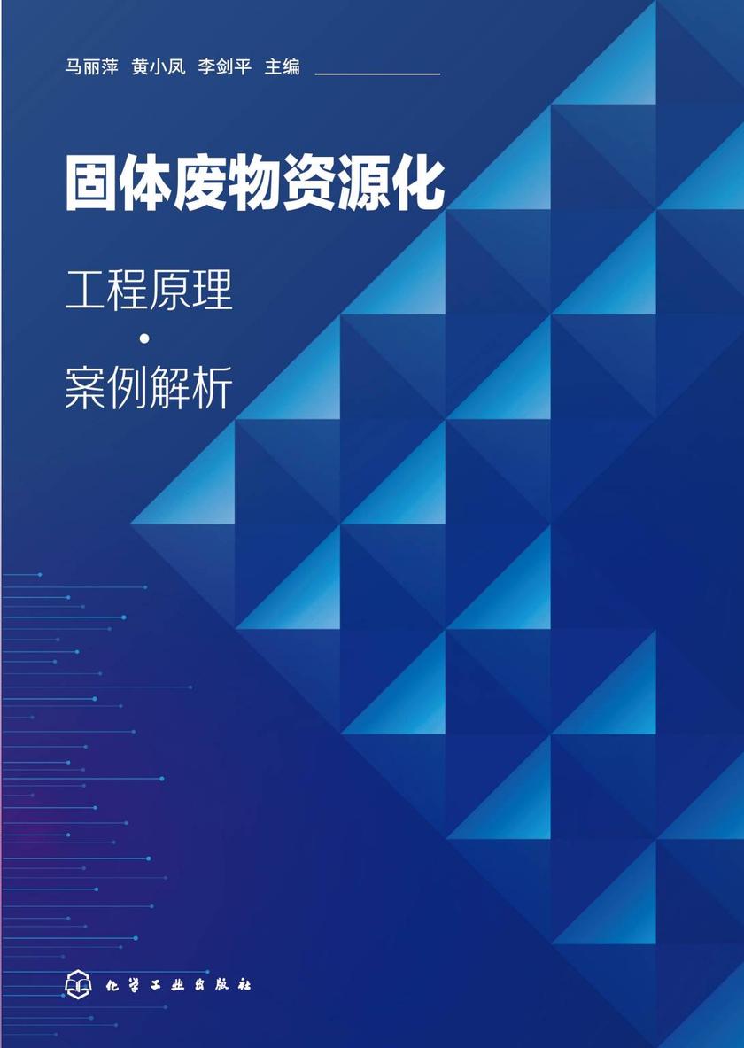 固体废物资源化:工程原理·案例解析