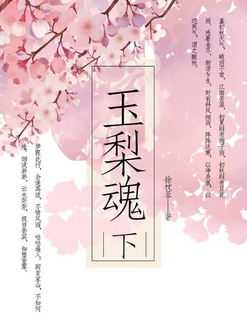 玉梨魂(下)