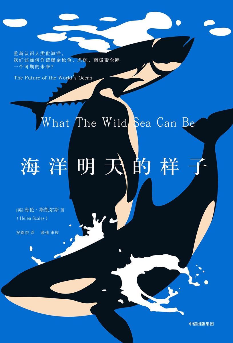 海洋明天的样子