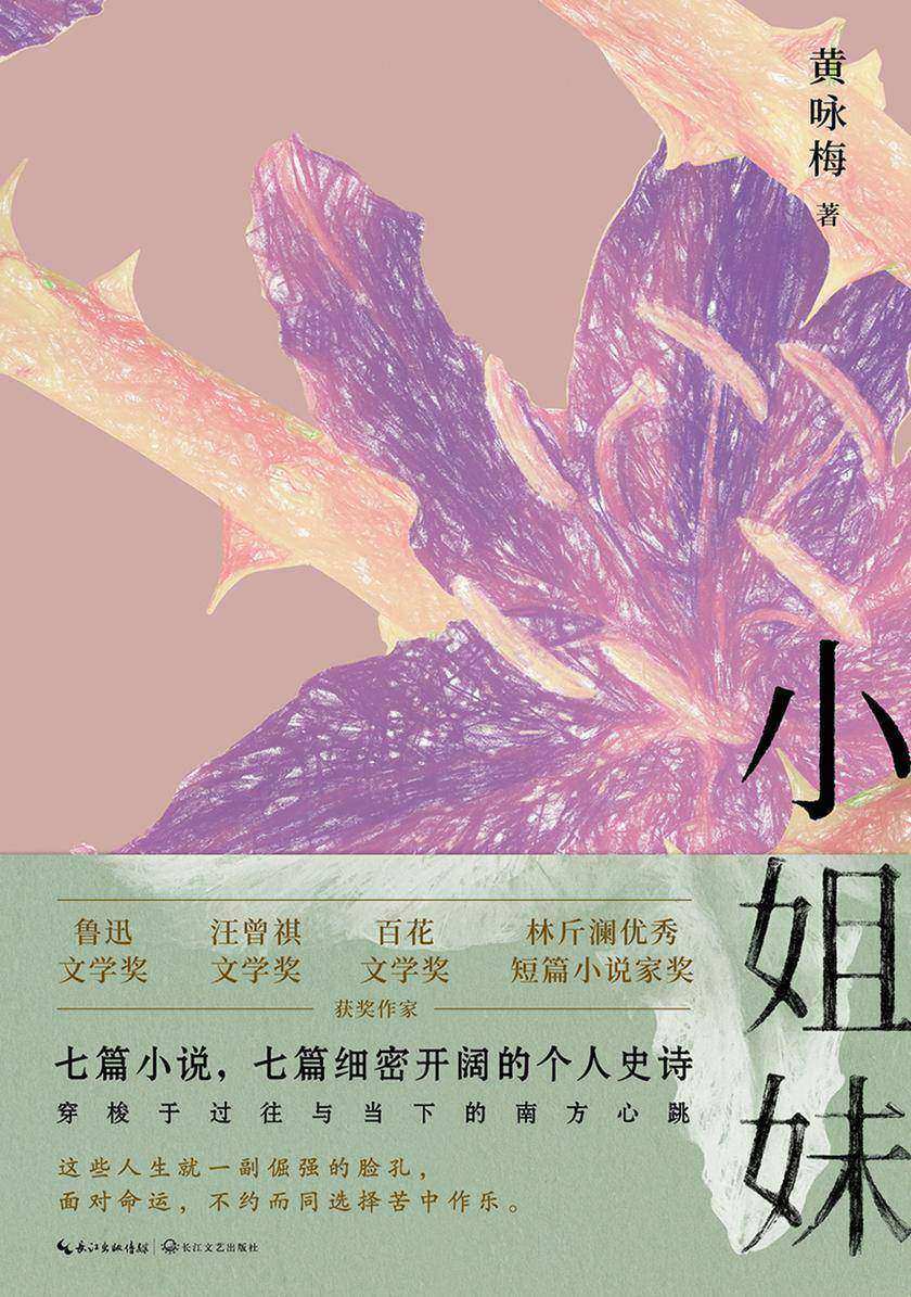小姐妹【七篇小说,七篇细密开阔的个人史诗】