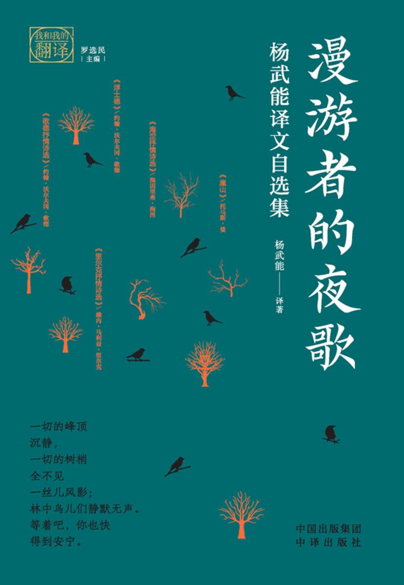 漫游者的夜歌:杨武能译文自选集