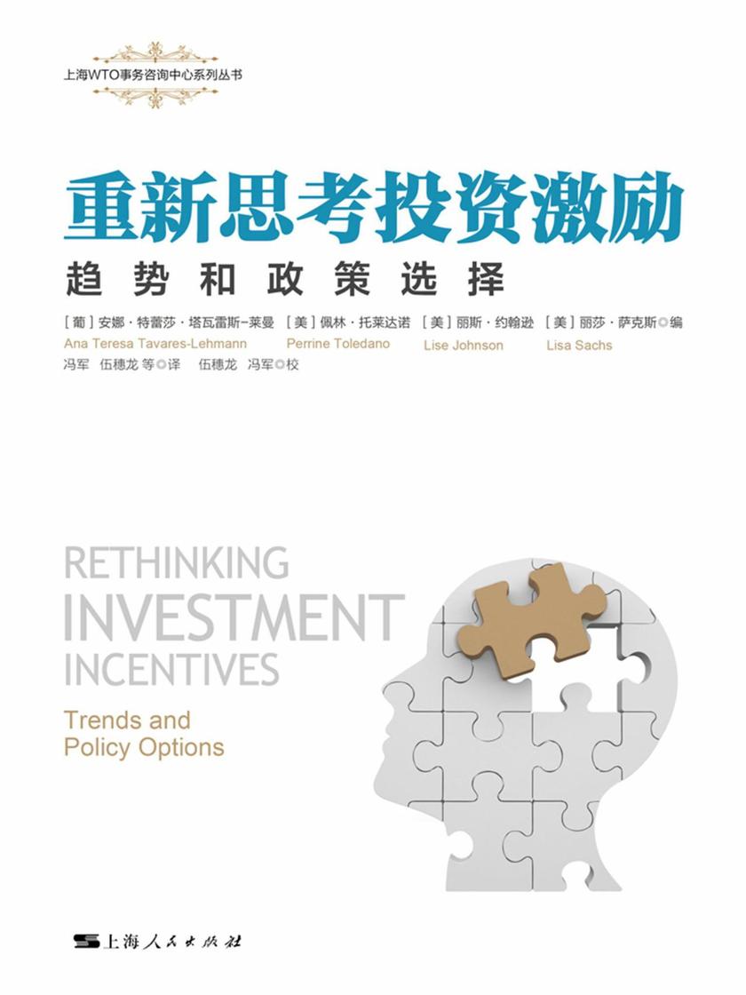 重新思考投资激励:趋势和政策选择