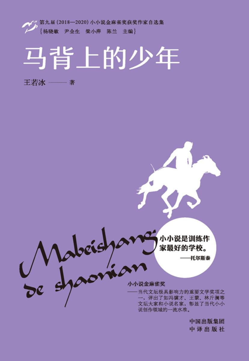 马背上的少年