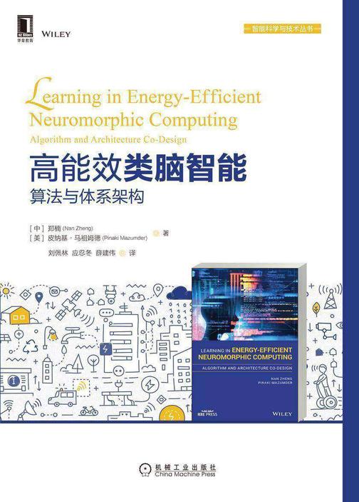 高能效类脑智能:算法与体系架构