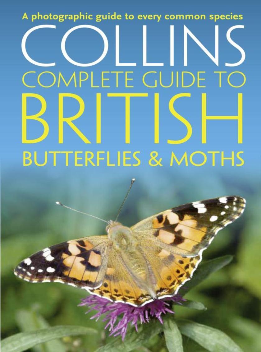 British Butterflies and Moths (Collins Complete Guides)