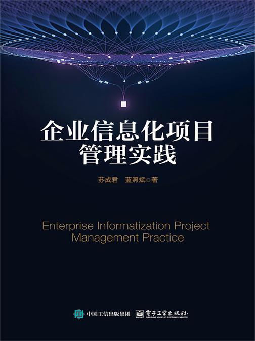 企业信息化项目管理实践
