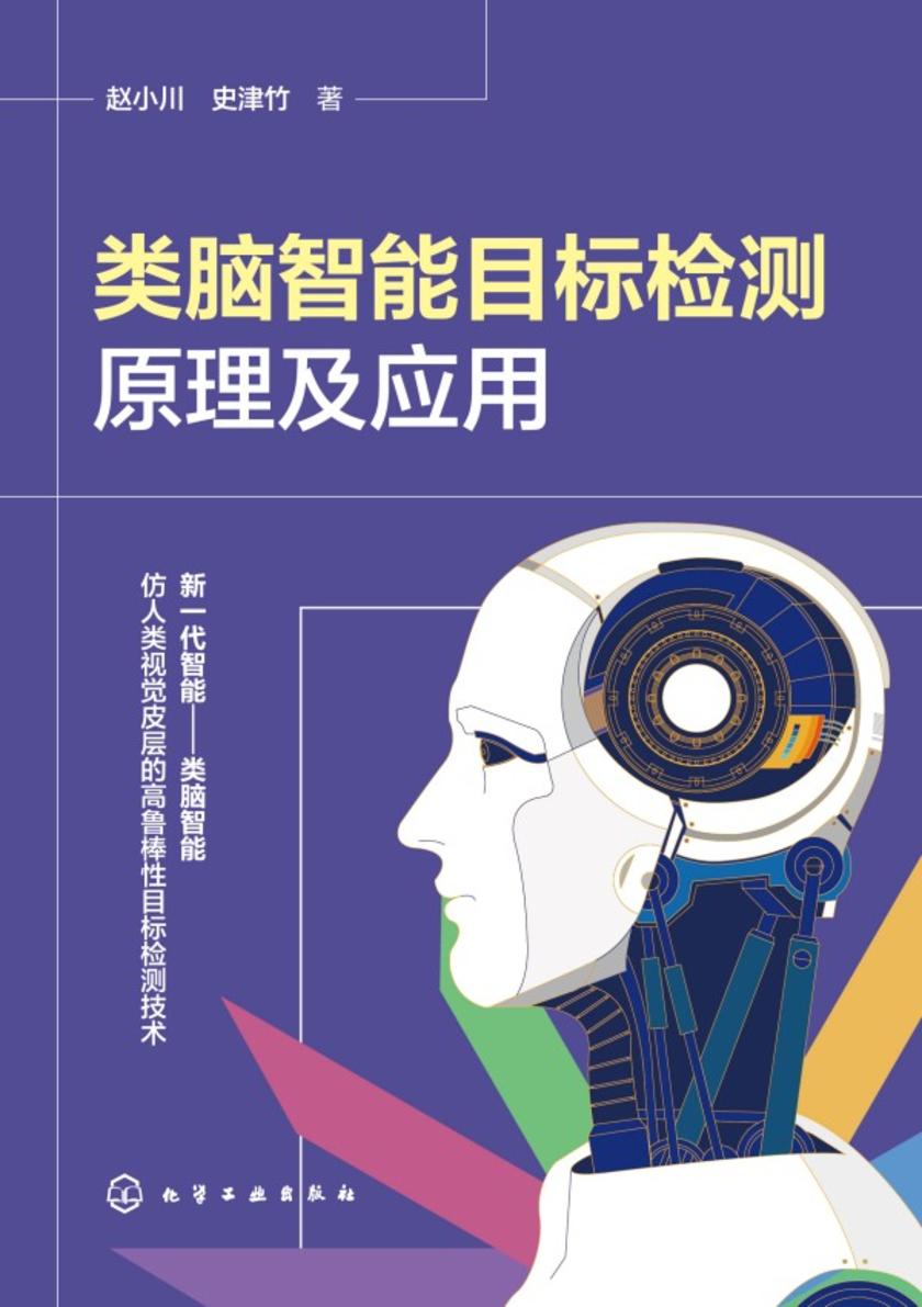 类脑智能目标检测原理及应用