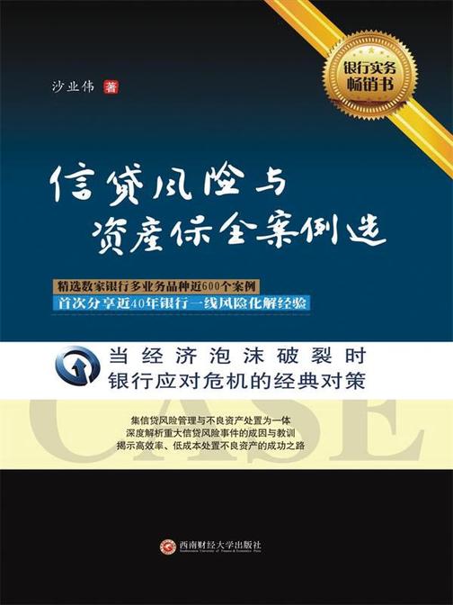 信贷风险与资产案例案例选