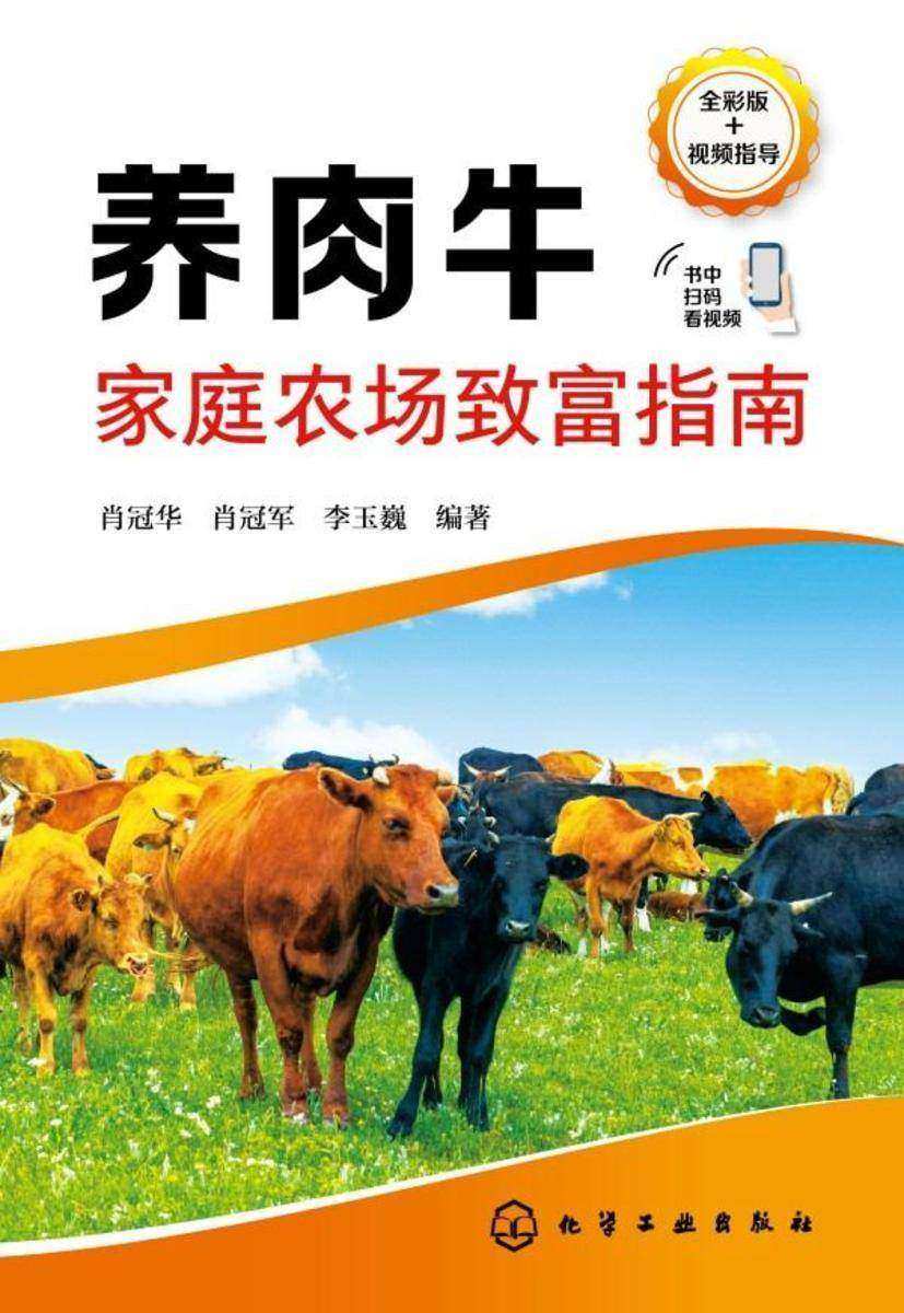 养肉牛家庭农场致富指南