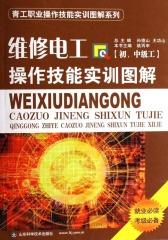 维修电工操作技能实训图解：初、中级工(仅适用PC阅读)