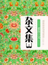 杂文集3