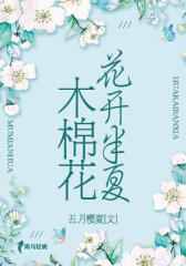 木棉花，花开半夏