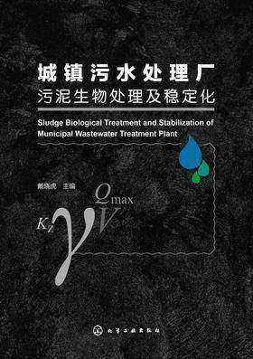城镇污水处理厂污泥生物处理及稳定化