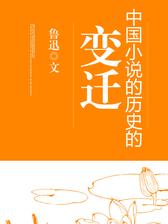 中国小说的历史的变迁