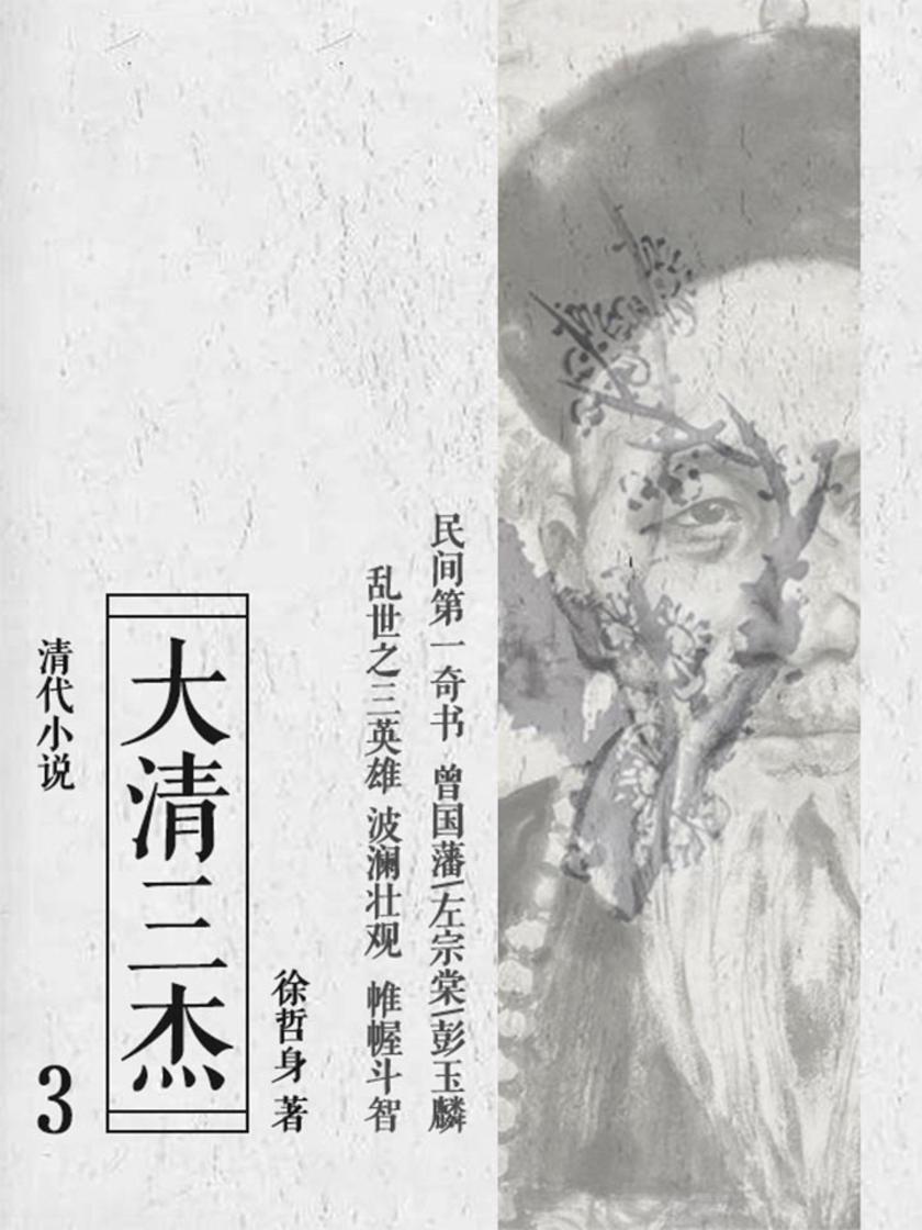清代小说:大清三杰3