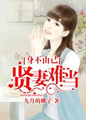 身不由己贤妻难当