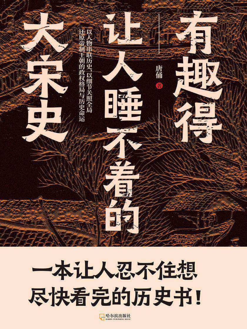 有趣得让人睡不着的大宋史