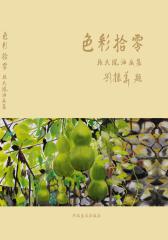 色彩拾零：张天凤油画集(仅适用PC阅读)