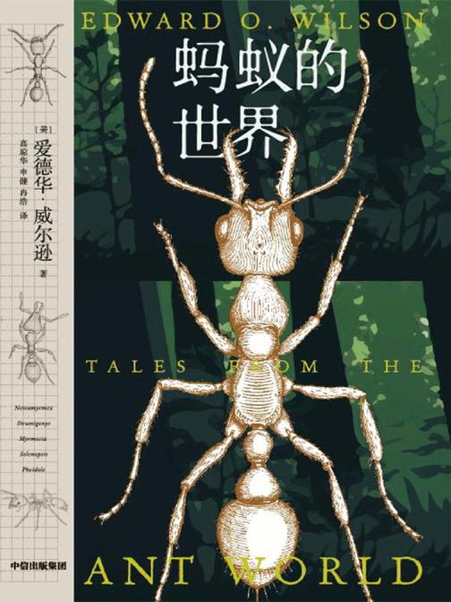 蚂蚁的世界