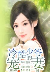 冷酷少爷的宠妻3