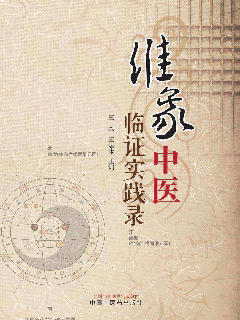 维象中医临证实践录