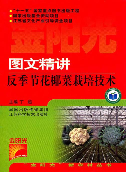 图文精讲反季节花椰菜栽培技术