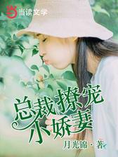 总裁撩宠小娇妻