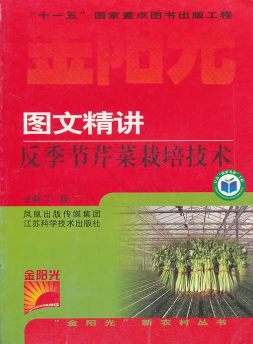 图文精讲反季节芹菜栽培技术
