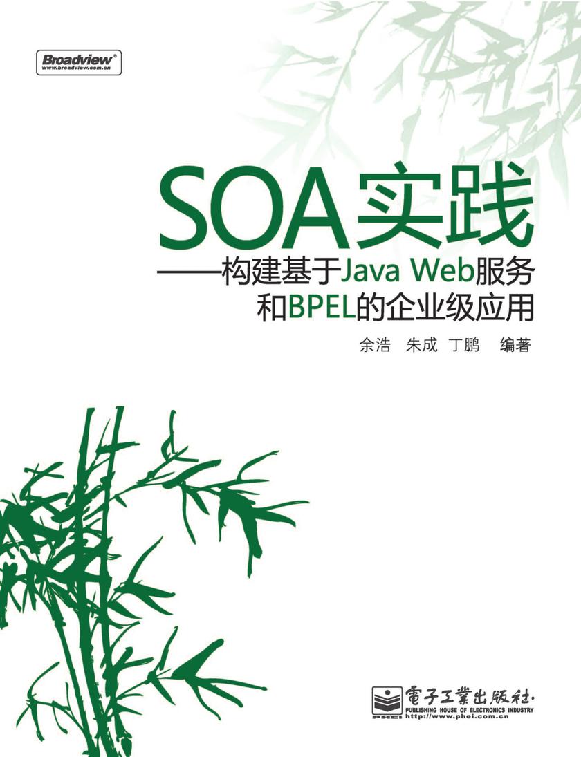 SOA实践——构建基于Java Web服务和BPEL的企业级应用