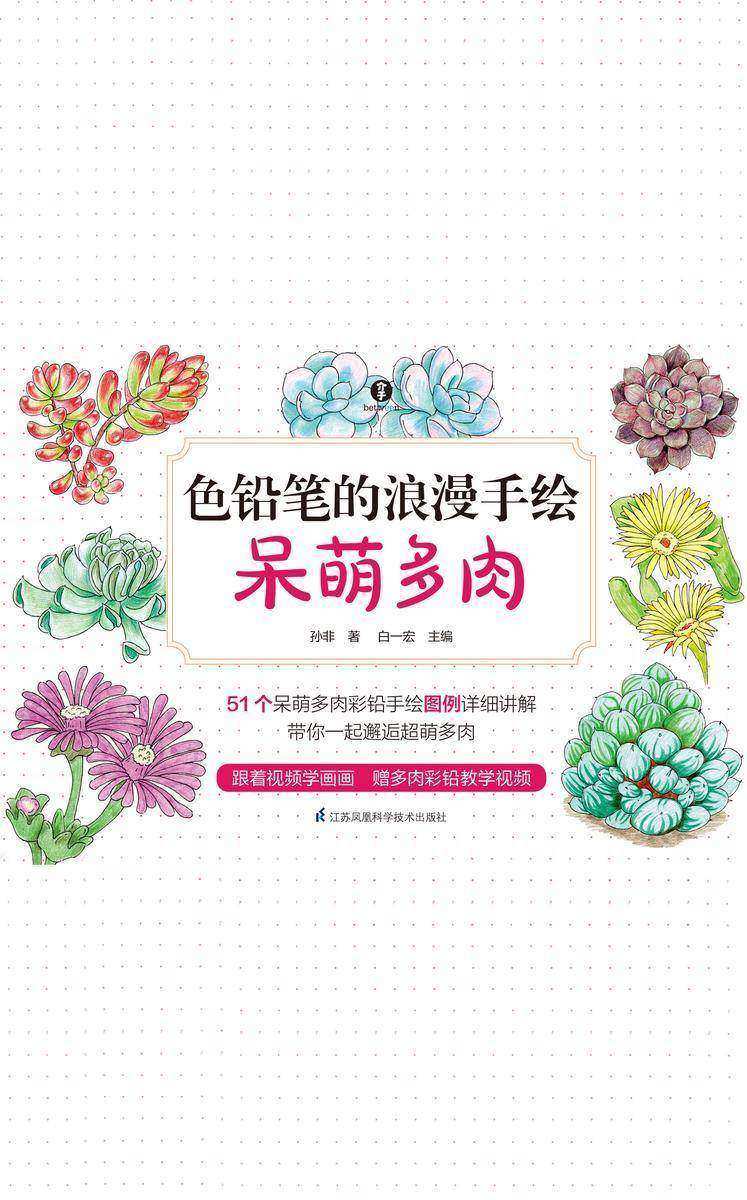 色铅笔的浪漫手绘 呆萌多肉