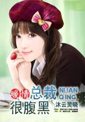 暖情总裁很腹黑3