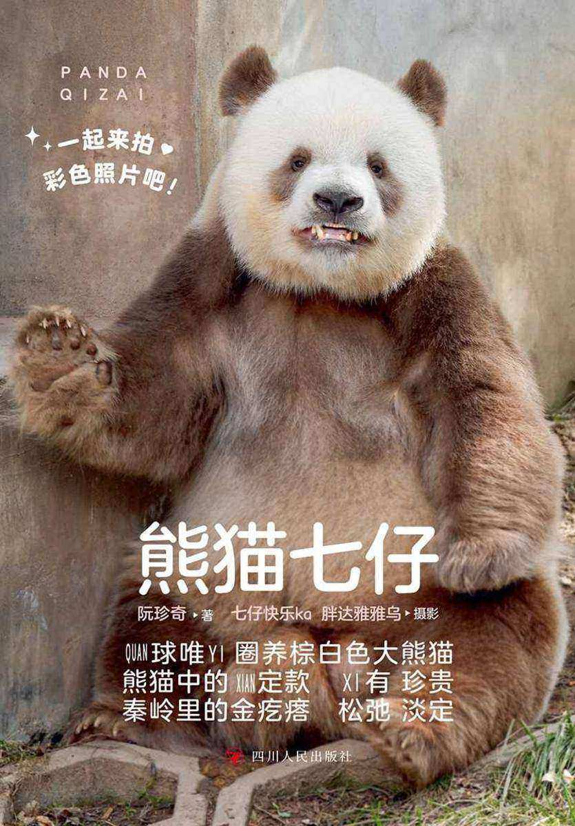 熊猫七仔