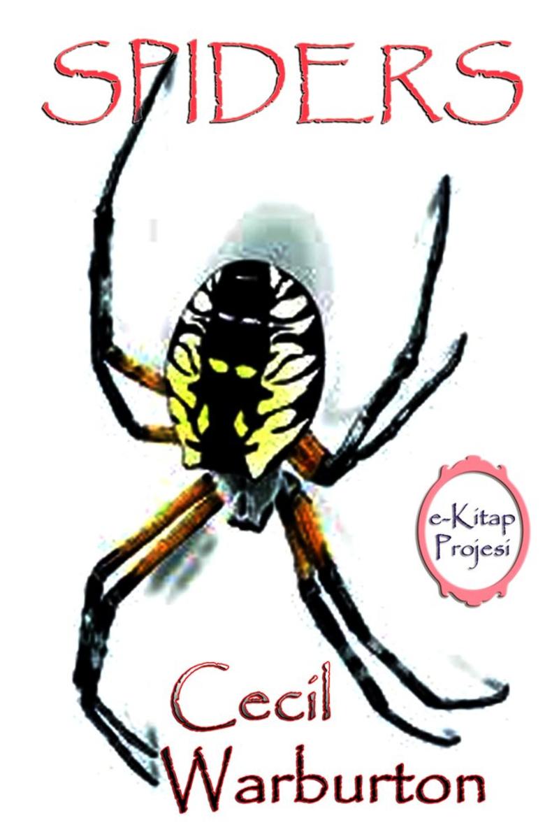 Spiders