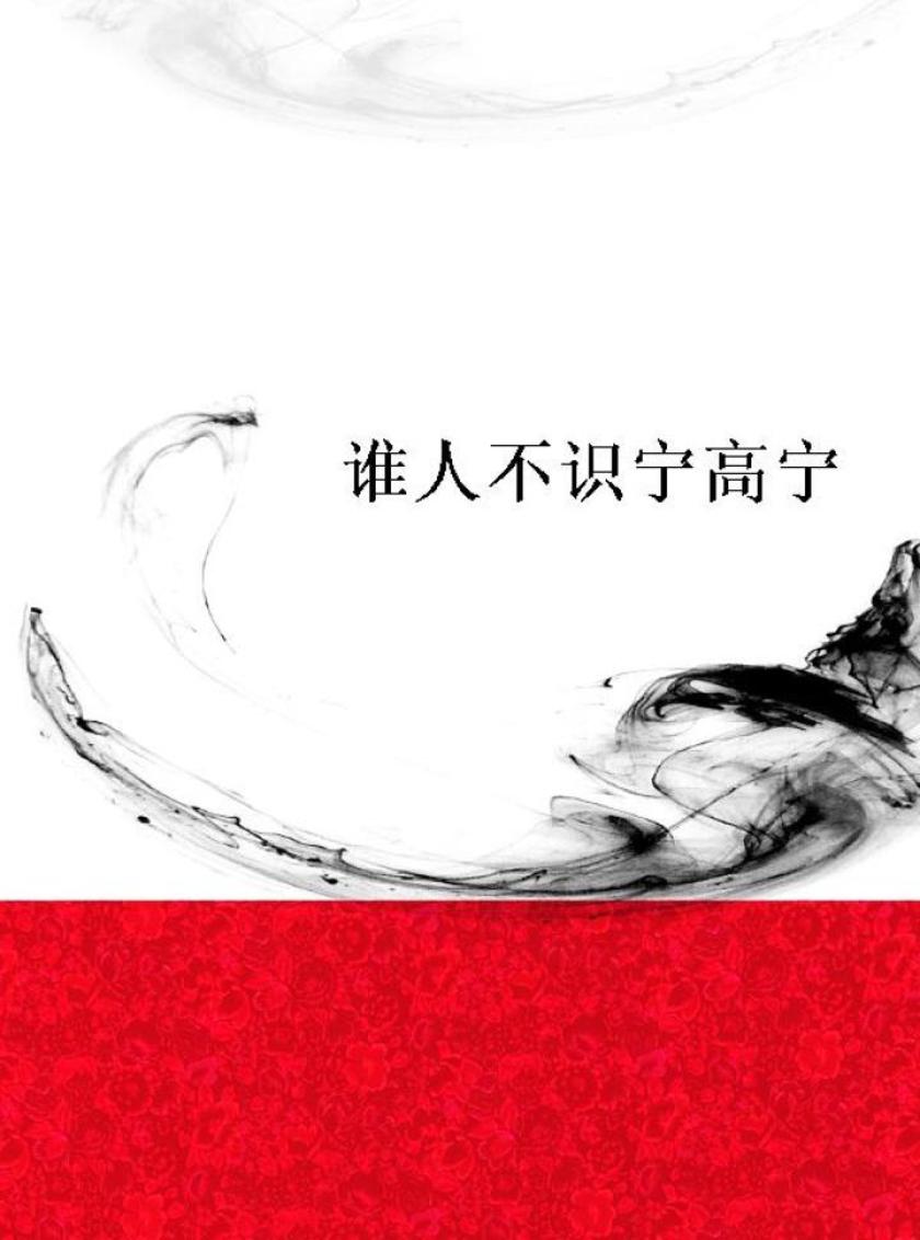 谁人不识宁高宁