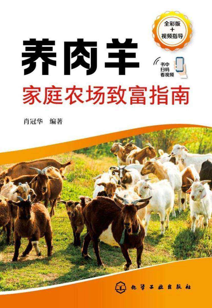养肉羊家庭农场致富指南