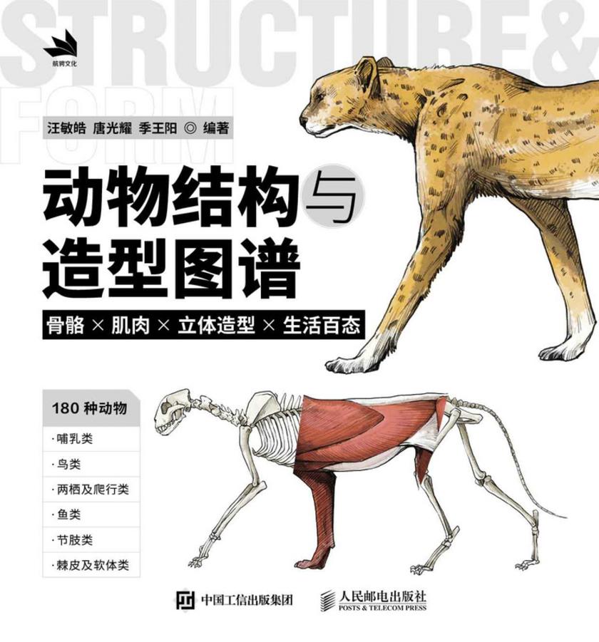 动物结构与造型图谱:骨骼×肌肉×立体造型×生活百态