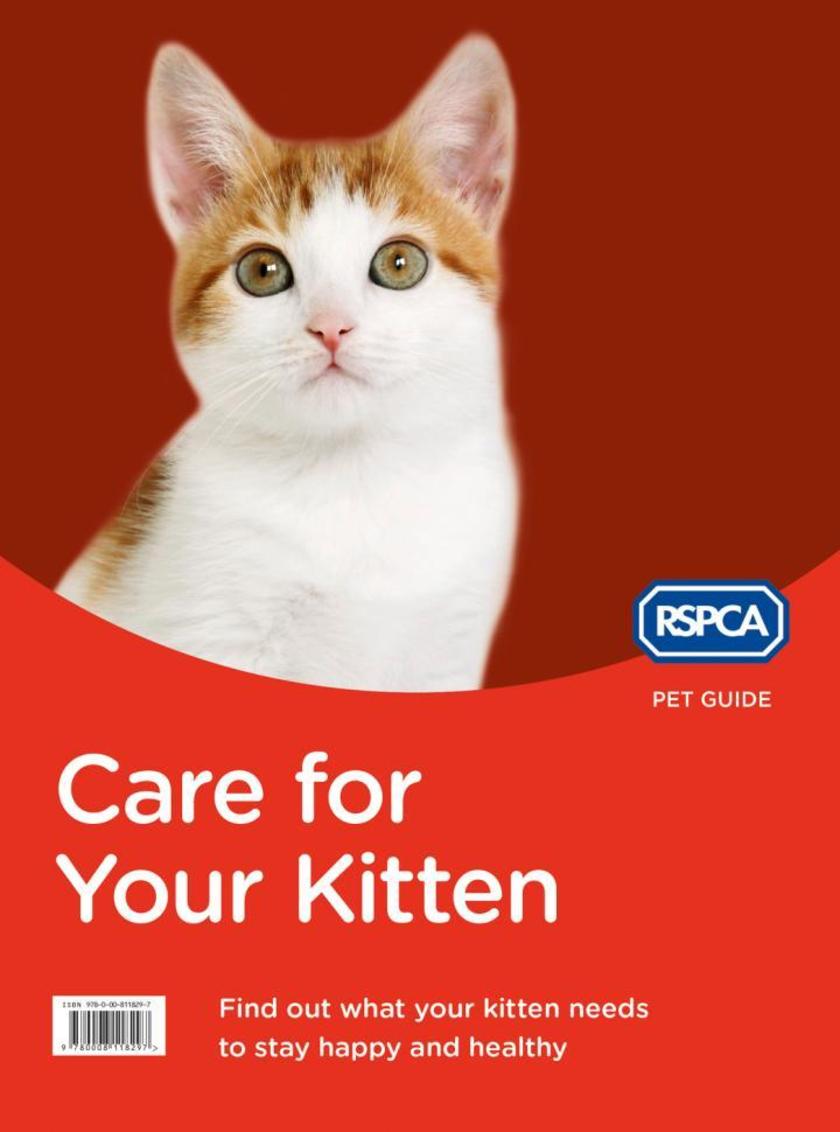 Care for Your Kitten (RSPCA Pet Guide)